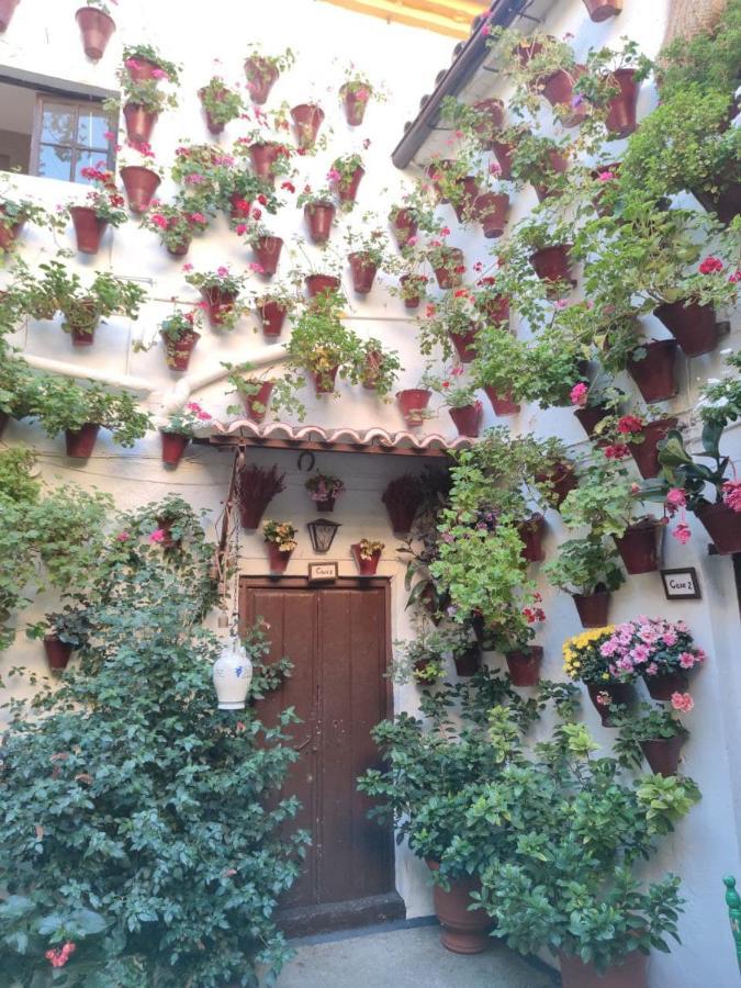 El Capricho De San Fernando, Consigna Gratis Y Parking A 200Mts Apartman Córdoba Kültér fotó